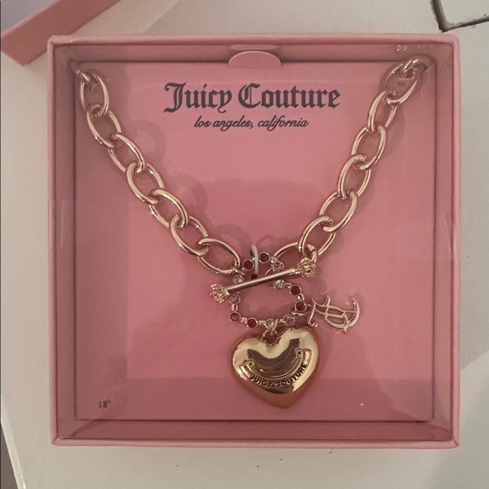 Juicy Couture Pink Box with Silver Details